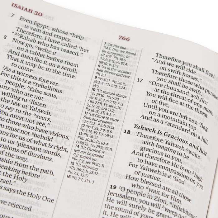 Legacy Standard Bible, Large Print Ultrathin- Paste-Down Tuff-Skin