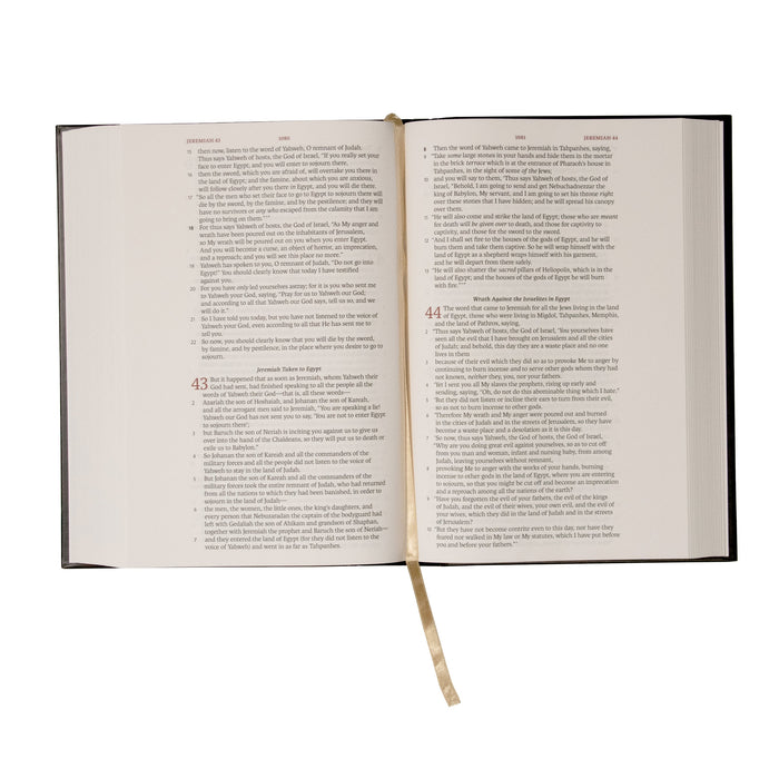 GALLERY ONLY - Legacy Standard Bible, Large Print Wide Margin - Black Hardcover