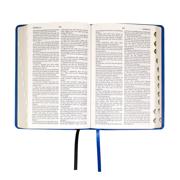 Legacy Standard Bible, Children's Bible - Faux Leather
