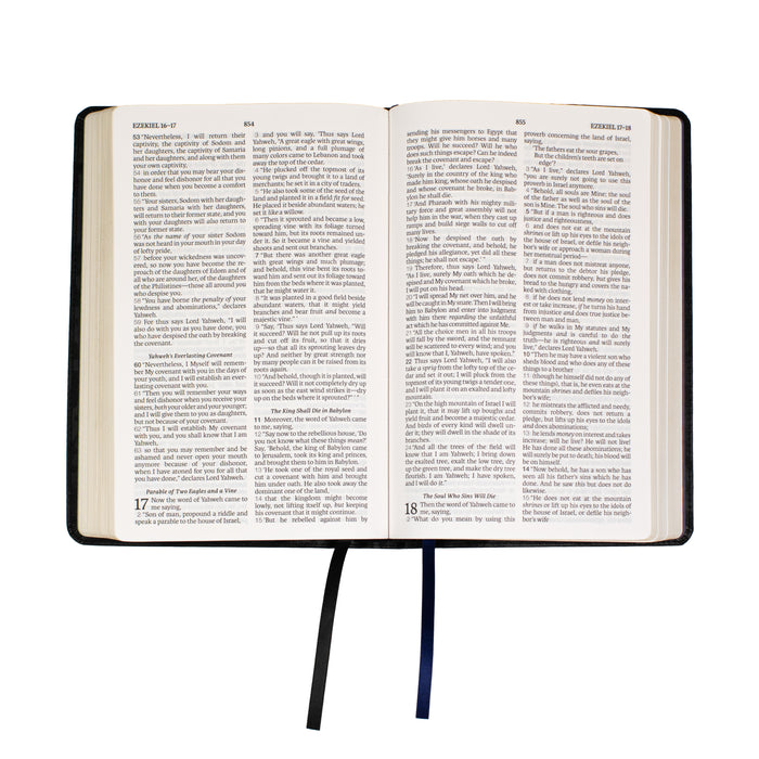 Legacy Standard Bible, Children's Bible - Faux Leather