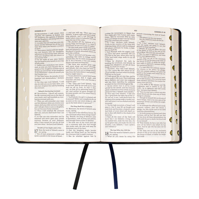 Legacy Standard Bible, Children's Bible - Faux Leather