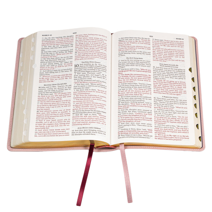 Legacy Standard Bible, Children's Bible - Faux Leather