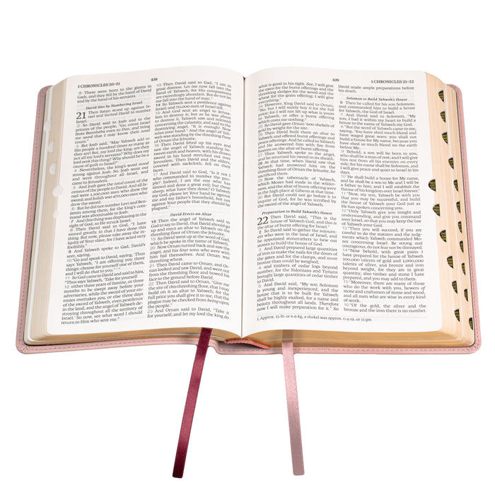 Legacy Standard Bible, Children's Bible - Faux Leather