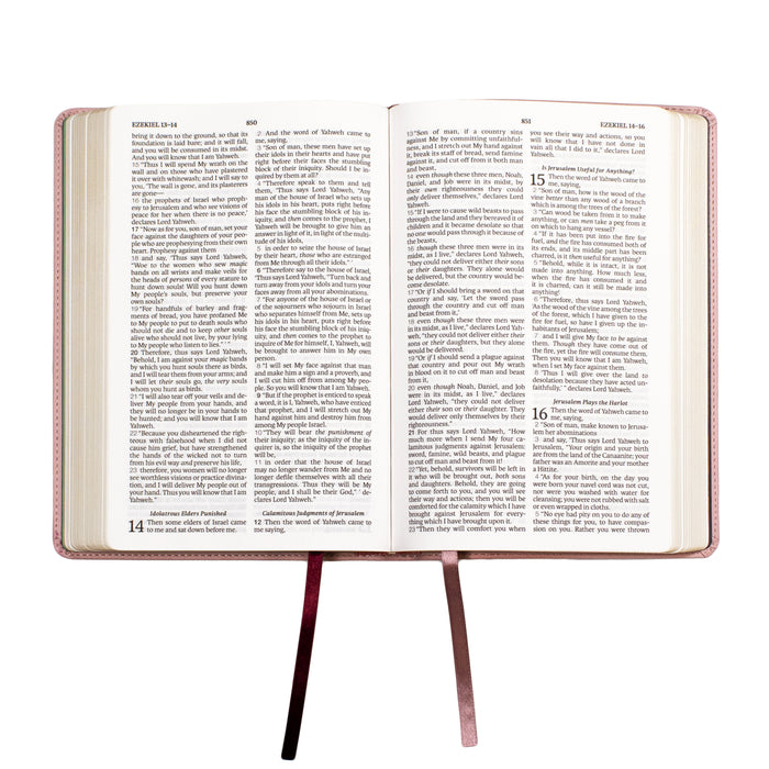 Legacy Standard Bible, Children's Bible - Faux Leather