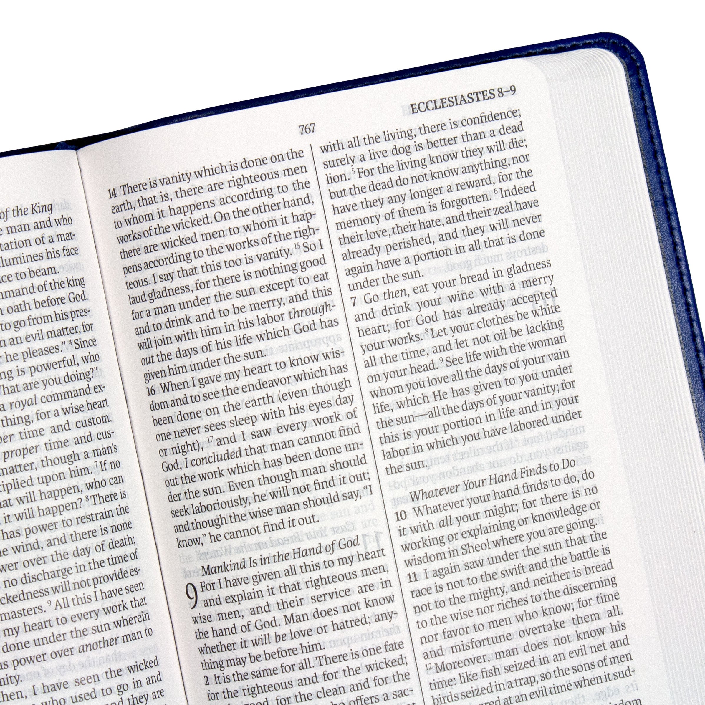 Legacy Standard Bible, Compact Edition - Paste-Down Faux Leather — 316 ...