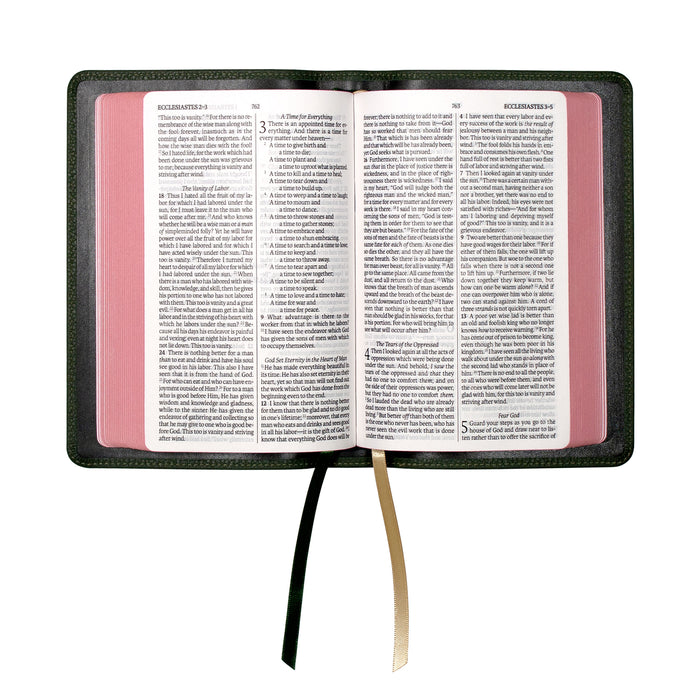 Legacy Standard Bible, Compact Edition - Edge-Lined Cowhide