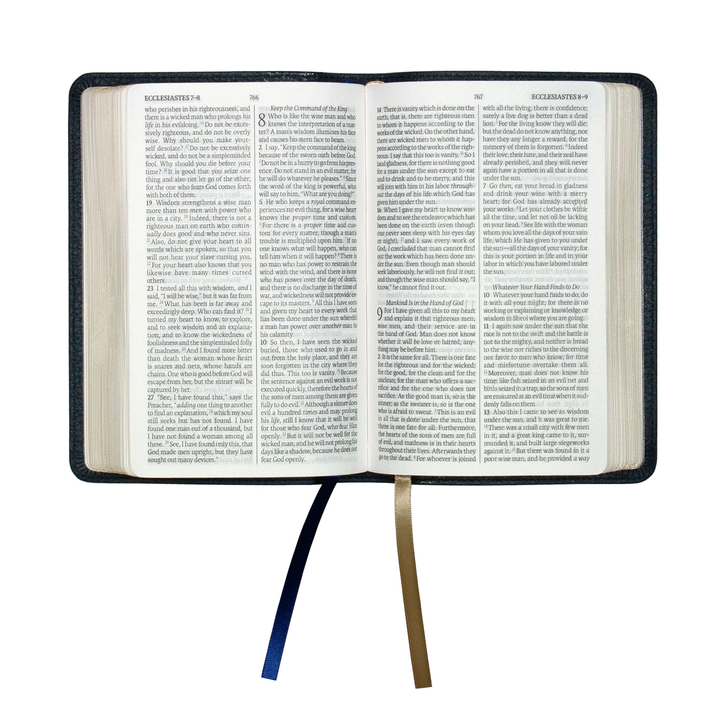 Legacy Standard Bible, Compact Edition - Paste-Down Cowhide — 316 ...