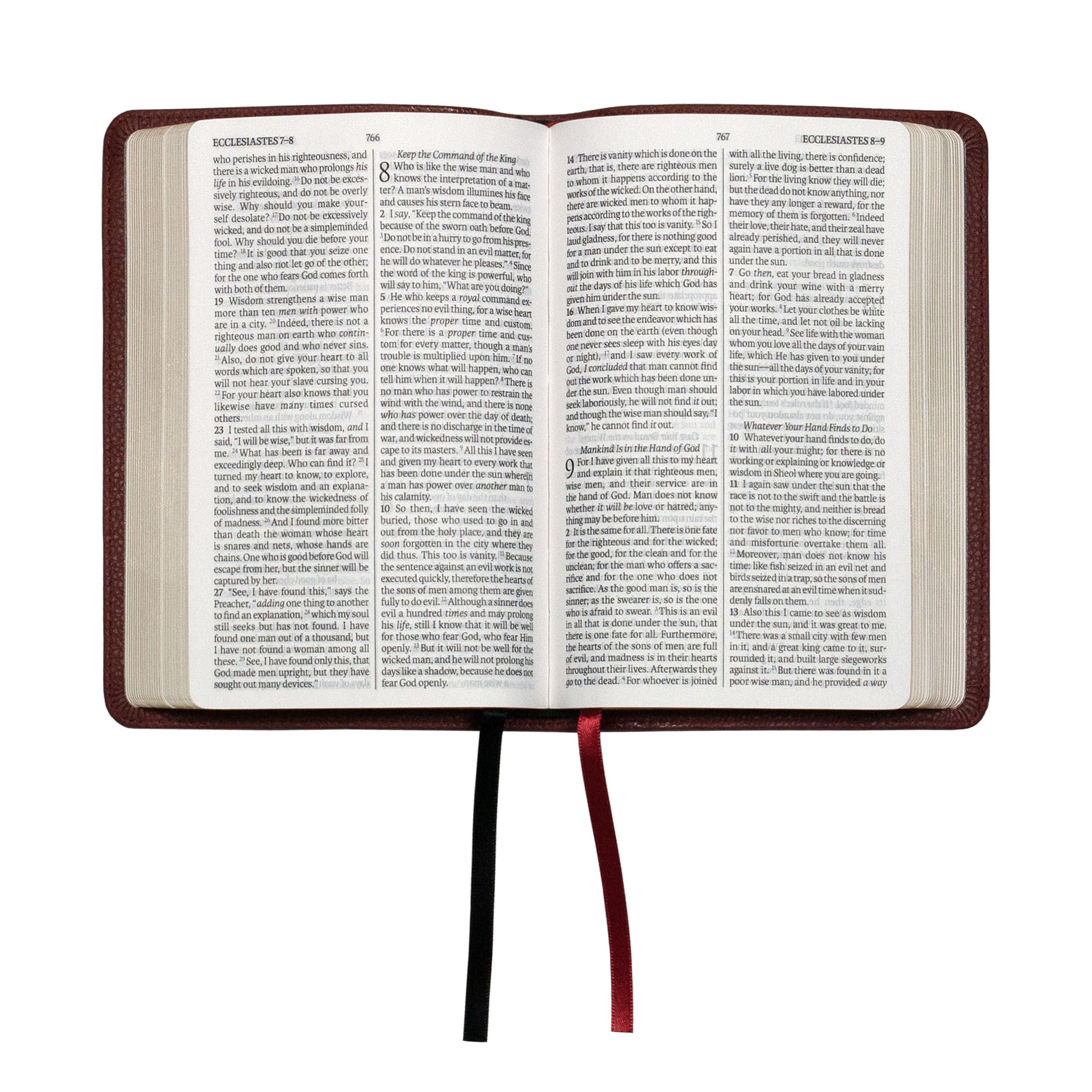 Legacy Standard Bible, Compact Edition - Paste-Down Cowhide — 316 ...
