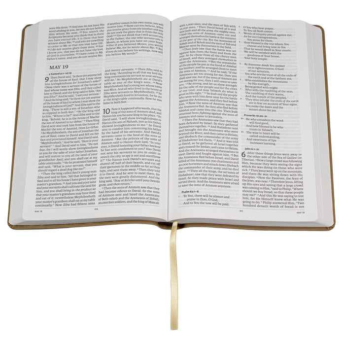 Legacy Standard Bible, Daily Reading Bible - Paste-Down Faux Leather