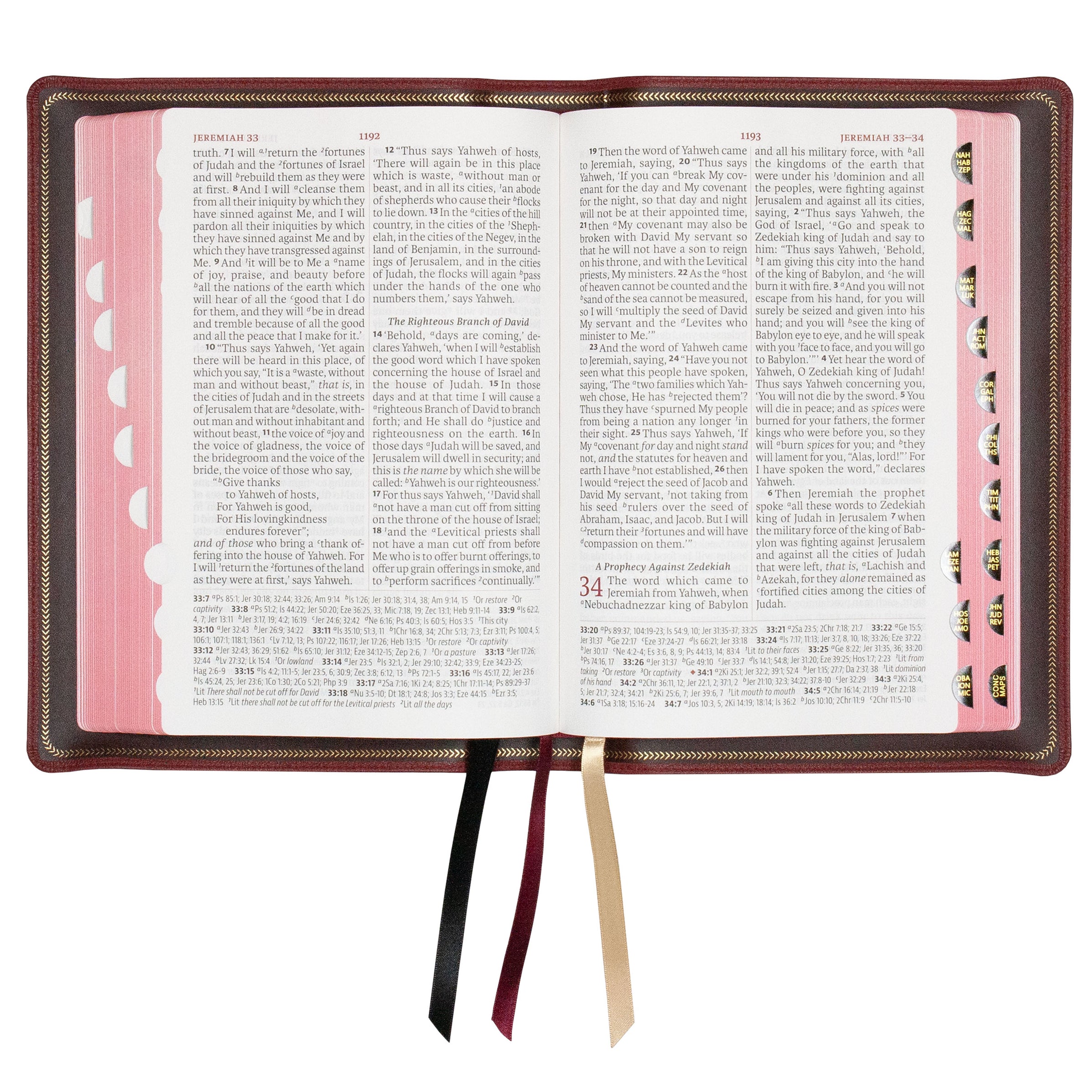 Legacy Standard Bible, Giant Print Reference Edition - Edge-Lined Goat ...