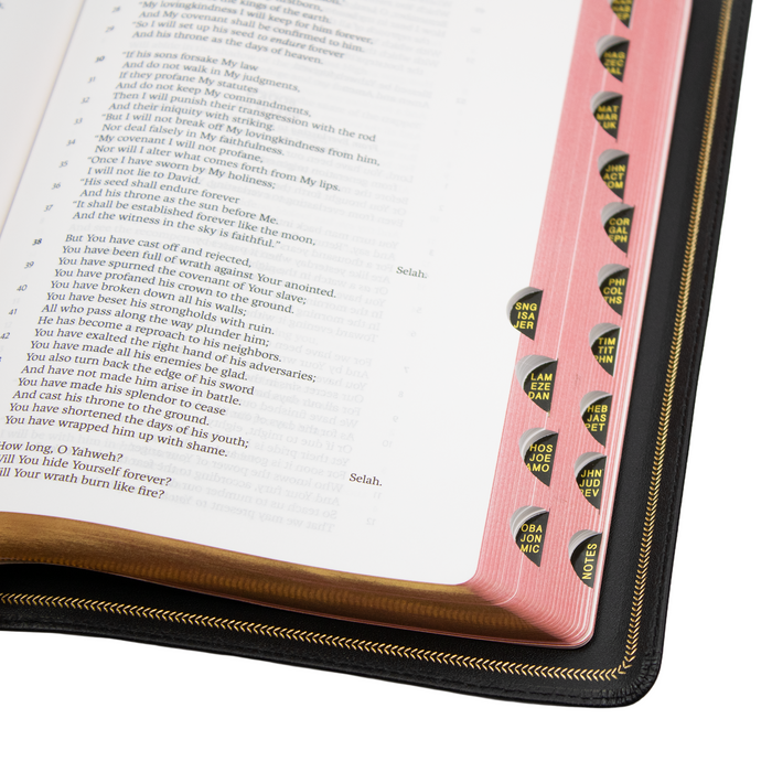 Legacy Standard Bible, Handy Size, Red Letter - Edge-Lined Goatskin