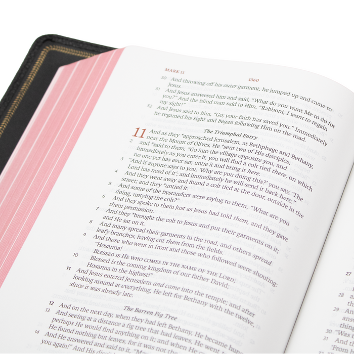 Legacy Standard Bible, Handy Size Edge-Lined Goatskin Special Edition Printed on European Paper