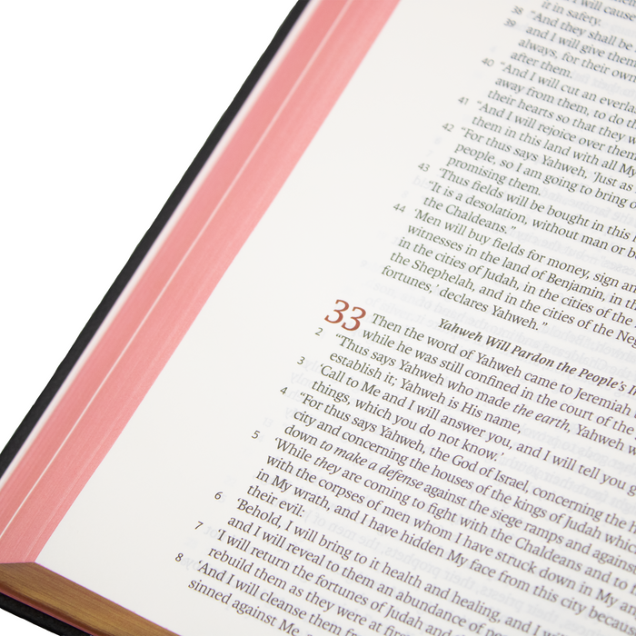 Legacy Standard Bible, Handy Size - Hardcover - 5 Solas Edition - 2 Pack