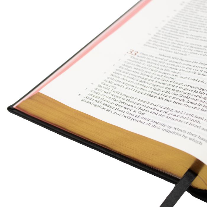 Legacy Standard Bible, Handy Size - Hardcover - 5 Solas Edition - 2 Pack