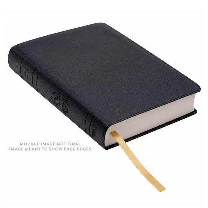 Legacy Standard Bible, Large Print Ultrathin - Paste-Down Faux Leather