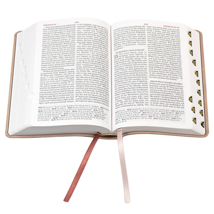 Legacy Standard Bible, Portable Paragraph Reference, Red Letter - Paste-Down Faux Leather