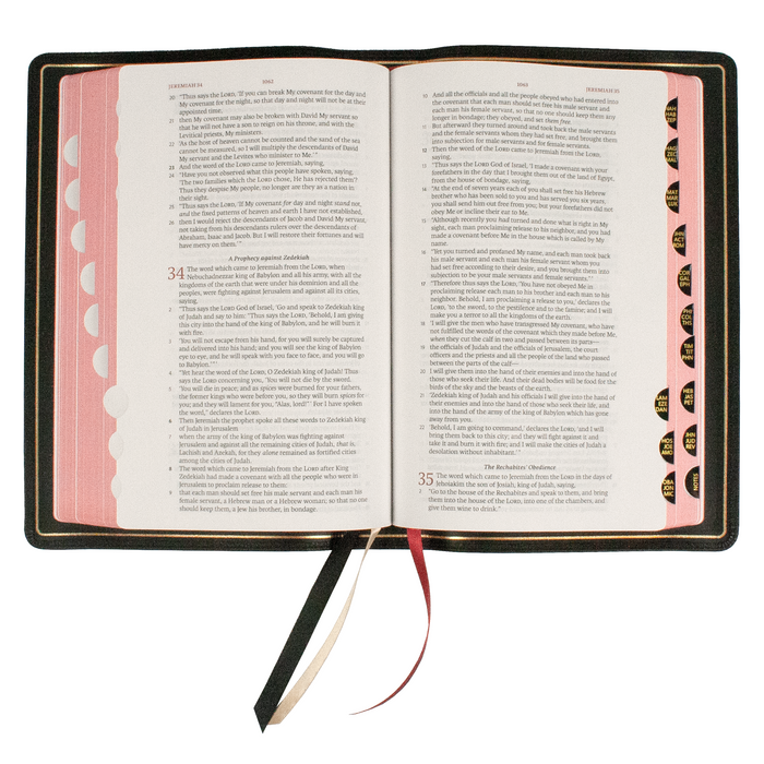 New American Standard Bible - Handy Size, Edge-Lined Goatskin