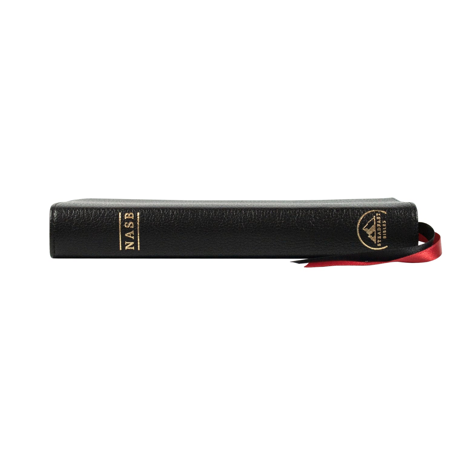 NASB 95 Compact Bibles — 316 Publishing