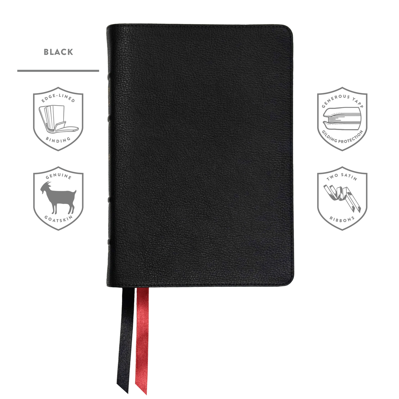 NASB 95 Compact Bibles