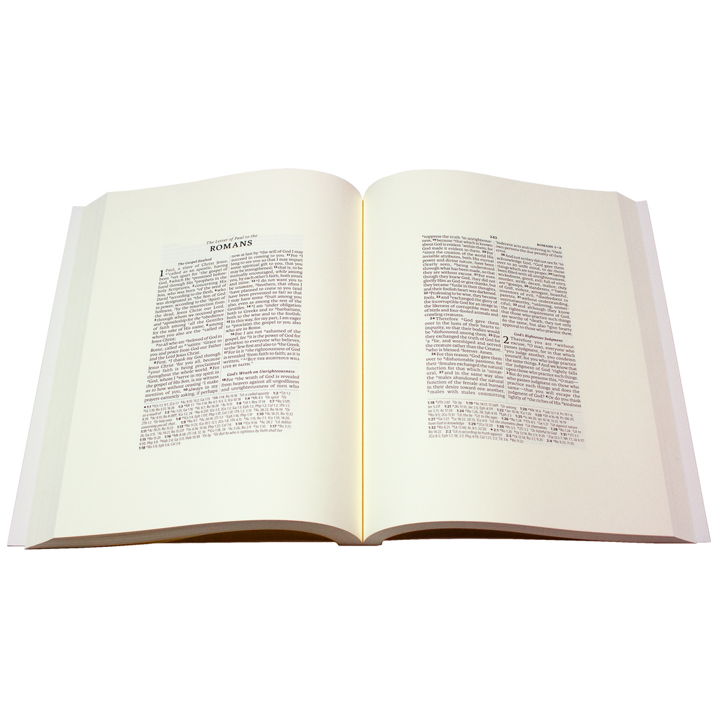 New Testament Workbook — 316 Publishing