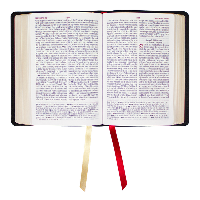 Legacy Standard Bible, Portable Paragraph Reference, Red Letter - Paste-Down Cowhide