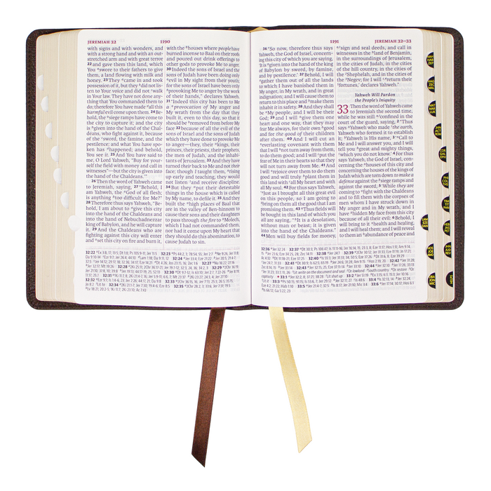 Legacy Standard Bible, Portable Paragraph Reference, Red Letter - Paste-Down Cowhide