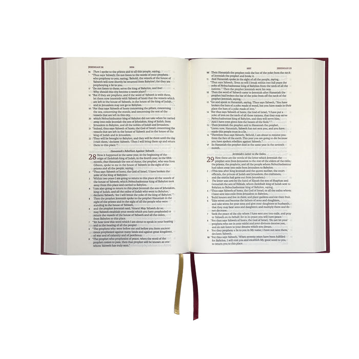 Legacy Standard Bible, Handy Size Red Linen Hardcover - Case Lot