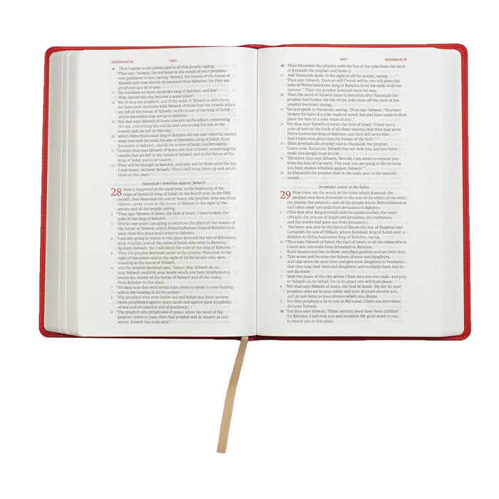 GALLERY ONLY - Legacy Standard Bible, Handy Size, Red Letter - Faux Leather
