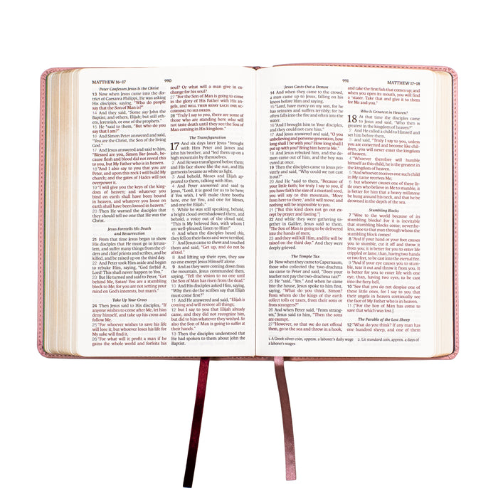 Legacy Standard Bible, Children's Bible - Faux Leather