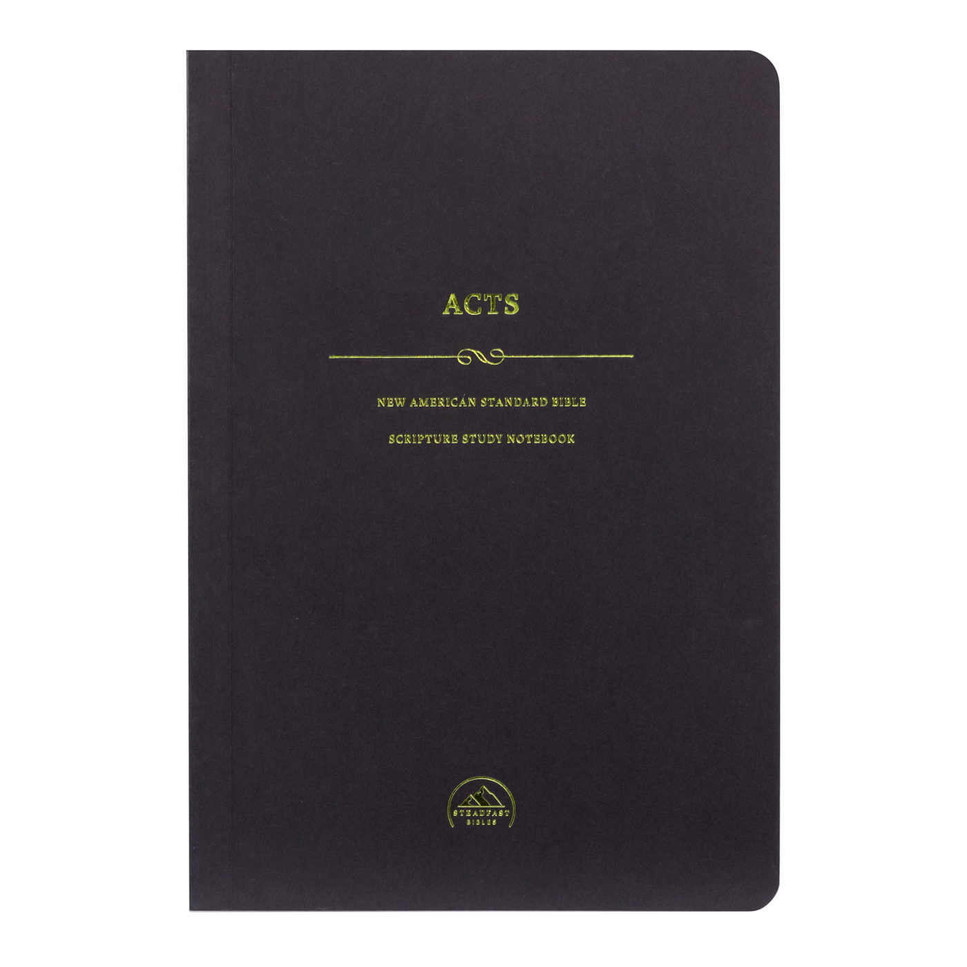 NASB Scripture Study Notebooks — 316 Publishing
