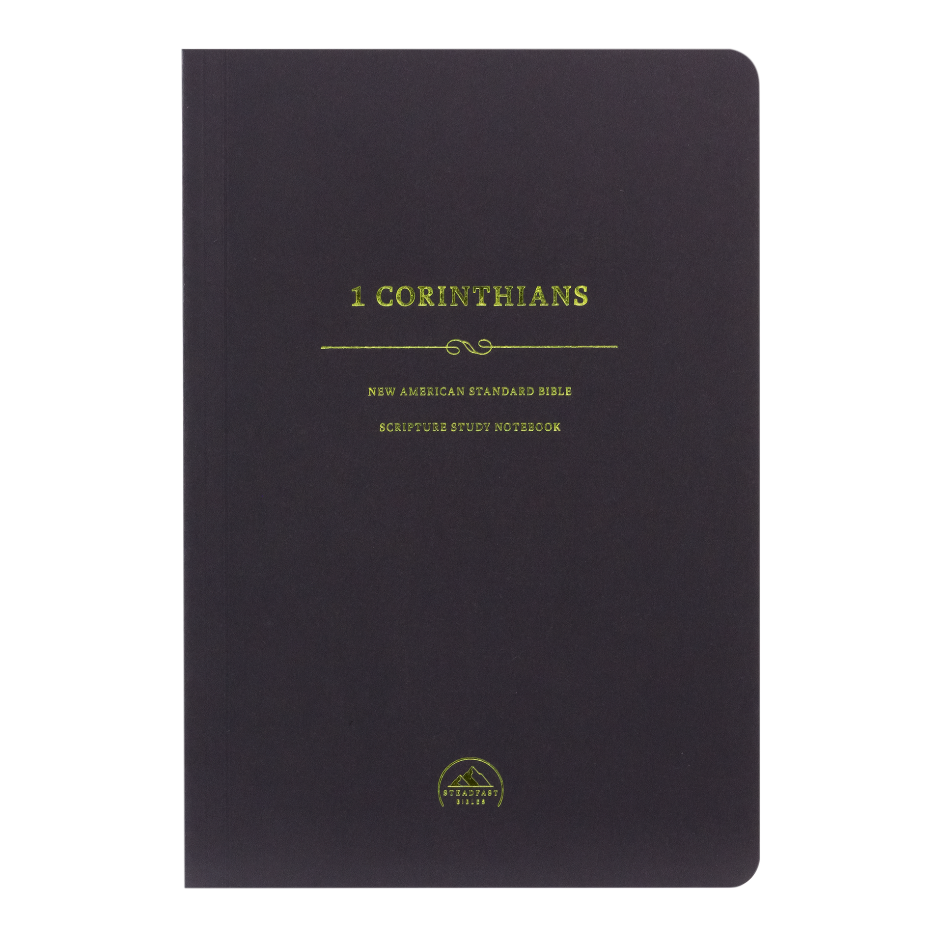 NASB Scripture Study Notebooks — 316 Publishing