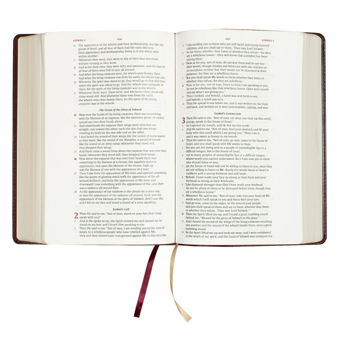 Legacy Standard Bible, Large Print Wide Margin - Paste-Down Faux Leather