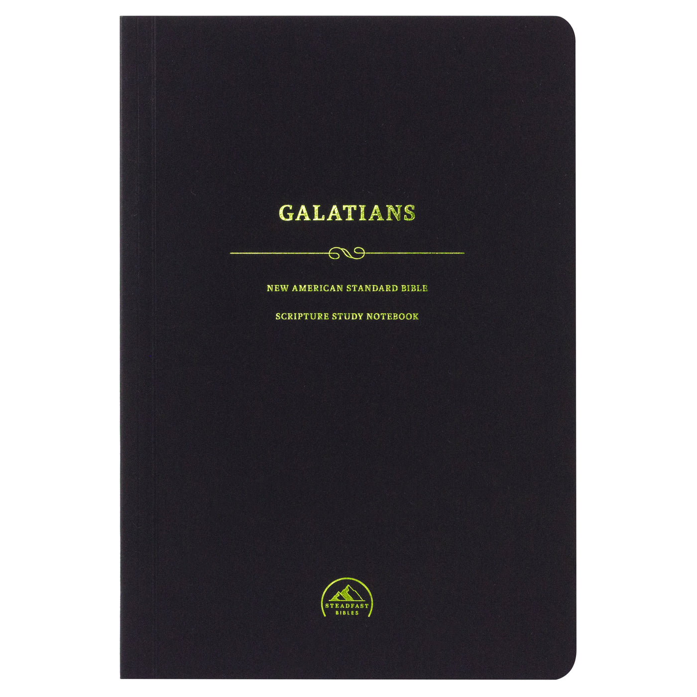 NASB Scripture Study Notebooks — 316 Publishing