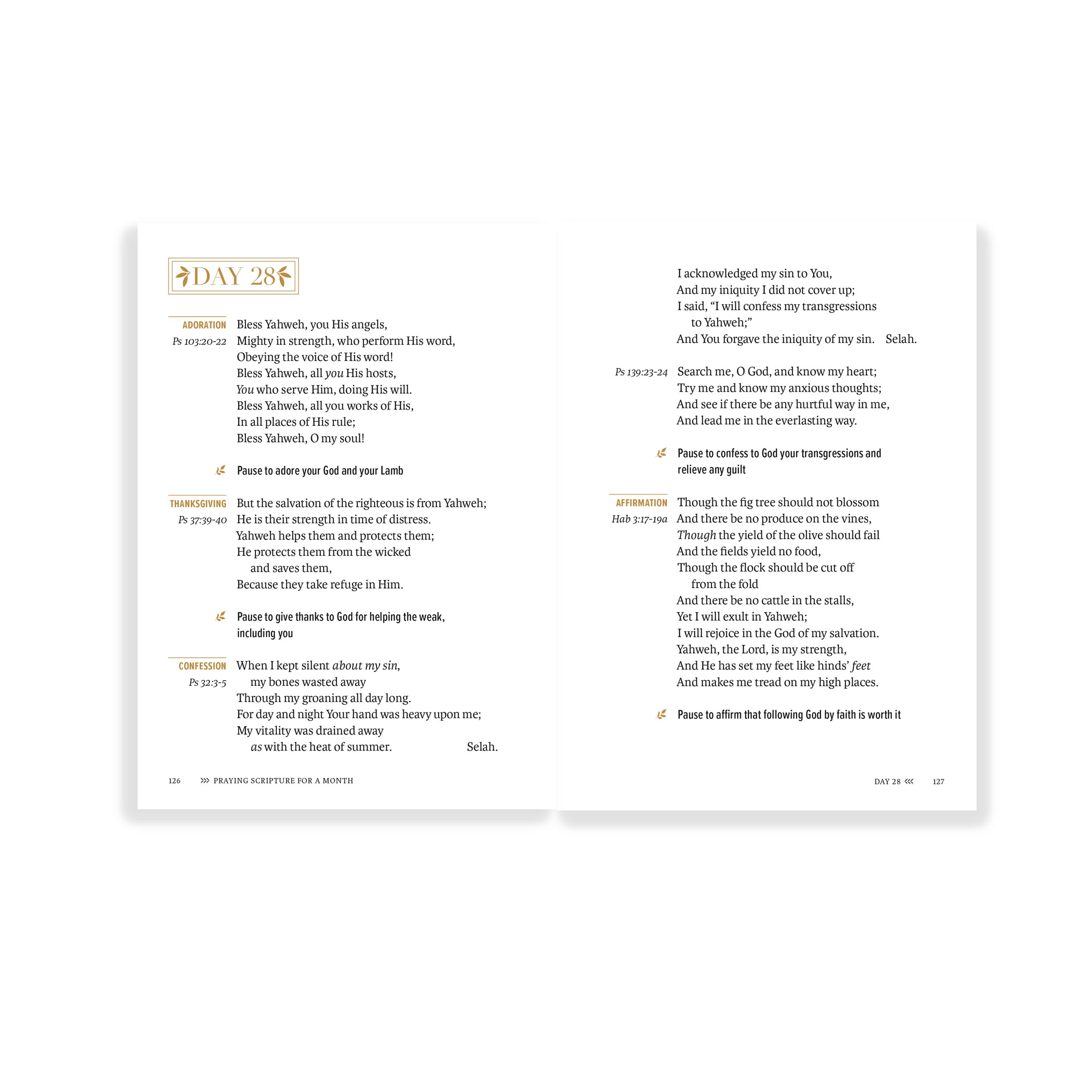 Handbook For Praying Scripture Featuring the Legacy Standard Bible ...