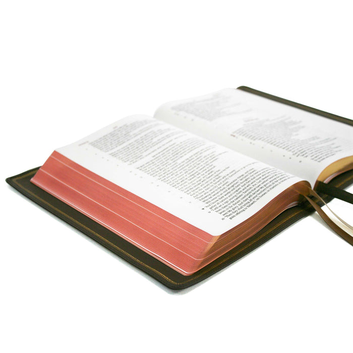 Legacy Standard Bible, Handy Size Edge-Lined Cowhide Special Edition Printed on European Paper