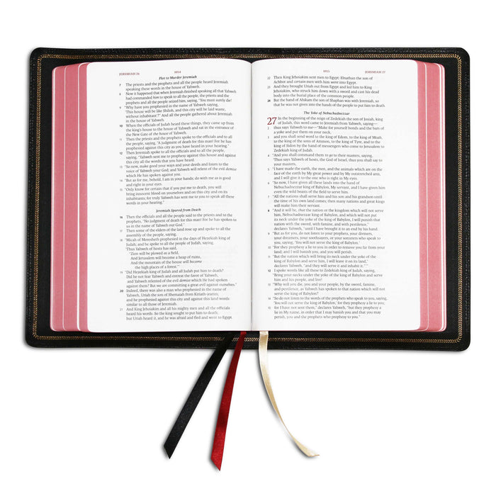 Legacy Standard Bible, Handy Size Edge-Lined Goatskin Special Edition Printed on European Paper