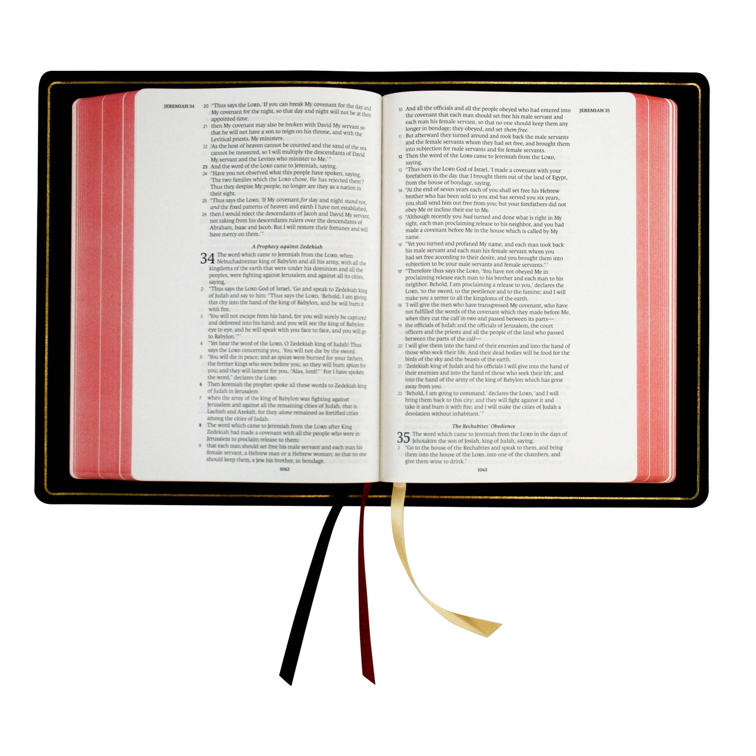 New American Standard Bible 95 — 316 Publishing