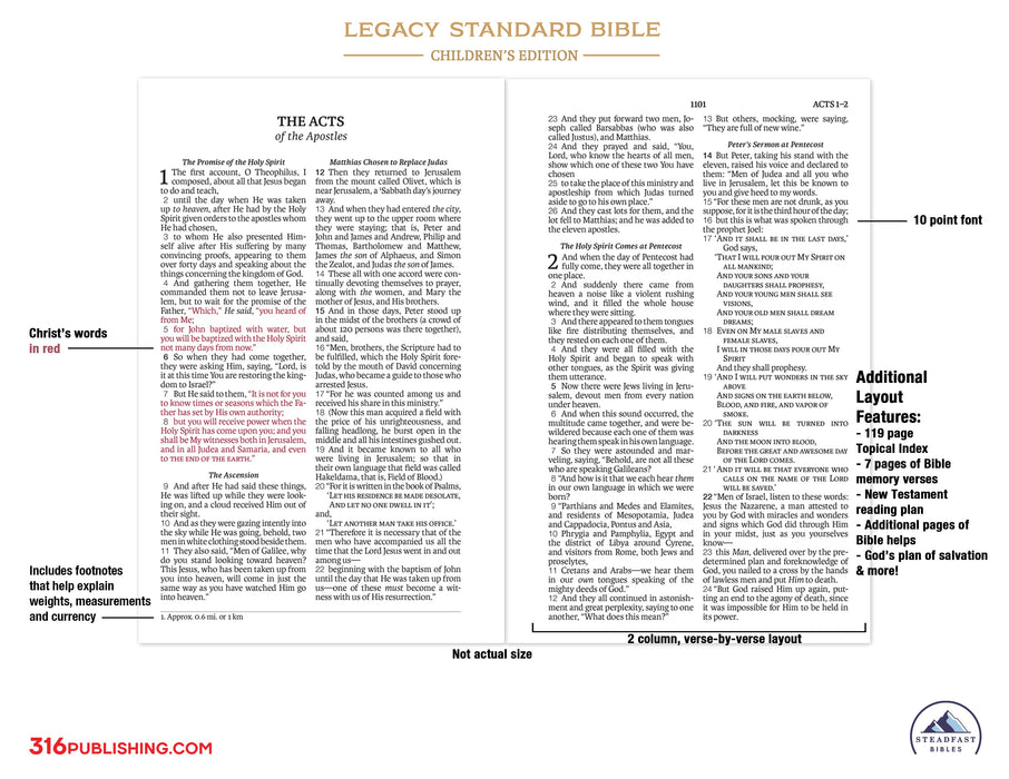 Legacy Standard Bible, Children's Edition - Hardcover - Case Lot