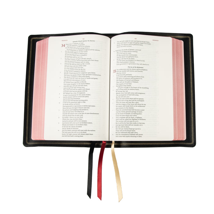 Legacy Standard Bible, Large Print Wide Margin - Edge-Lined Goatskin