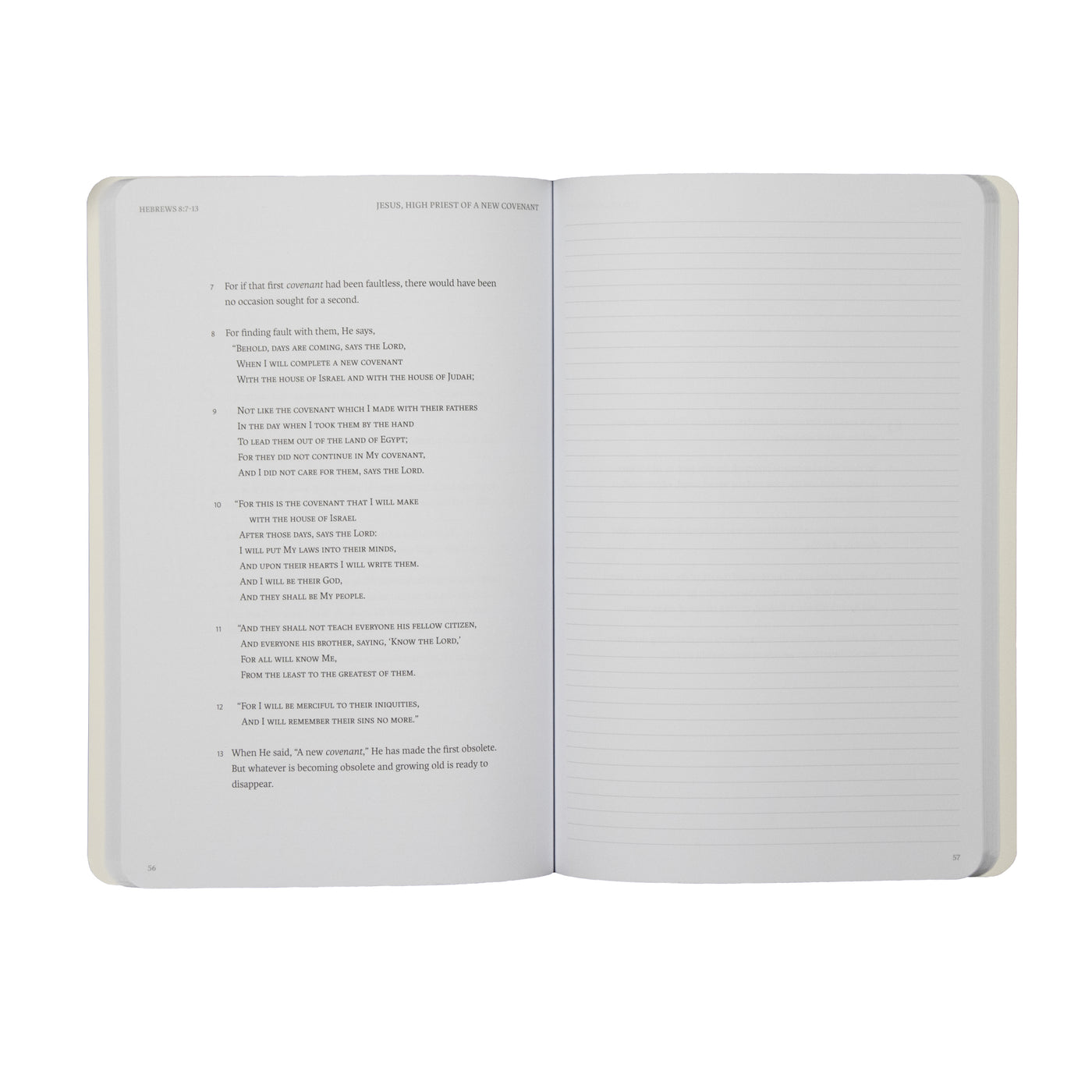 LSB Scripture Study Notebooks - New Testament — 316 Publishing