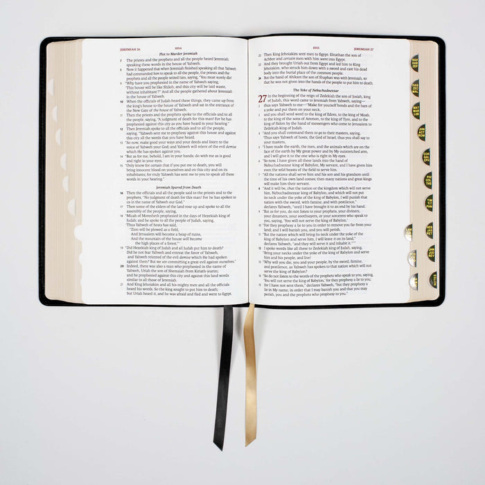 Legacy Standard Bible, Large Print Wide Margin - Paste-Down Cowhide